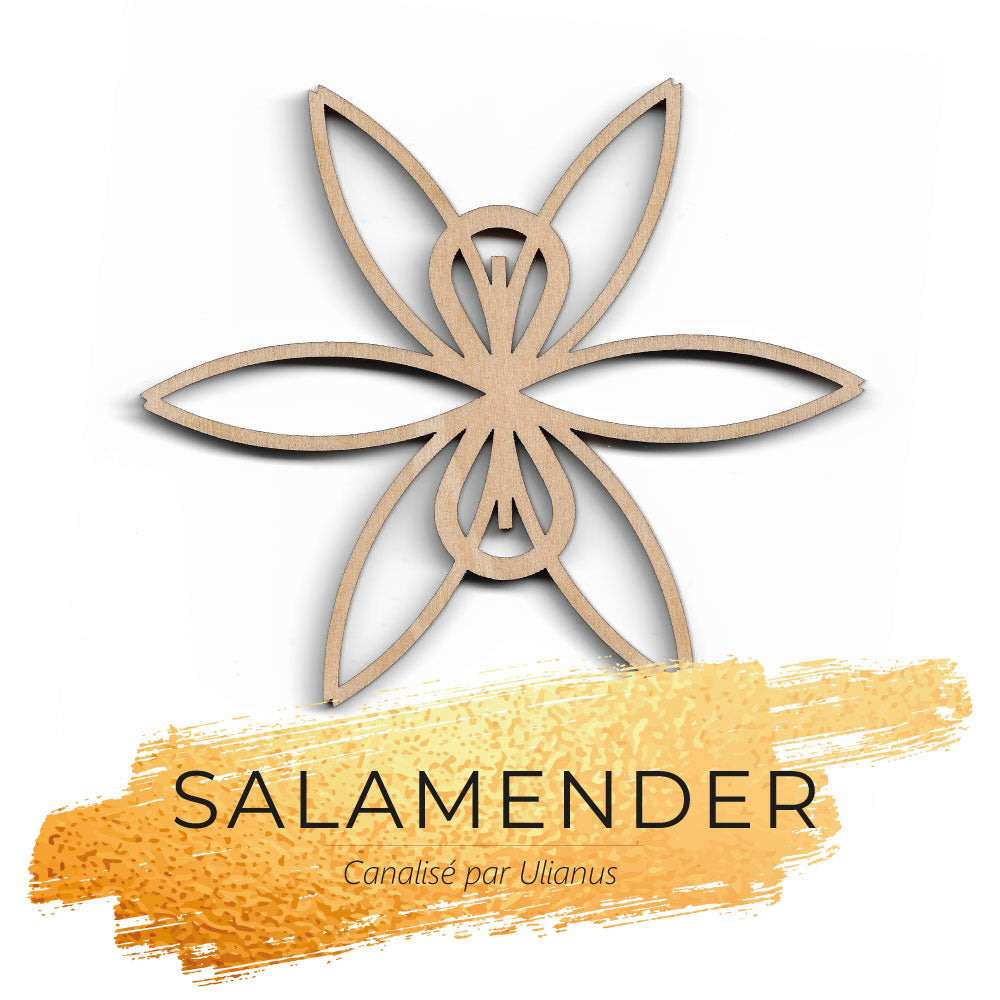 SALAMENDER